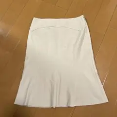 アンタイトル　スカート2/ アナイ　イネド　ロペ　23区　自由区　ザラ好きにも