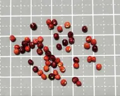 Item thumbnail for item f42e4ea7-8ded-43a5-af80-236a65da601a