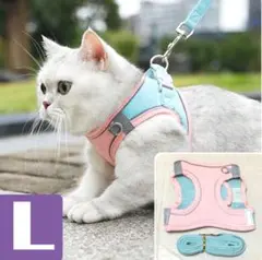 Item thumbnail for item 21bff727-87ce-455e-8bfb-56f5bb55eeba