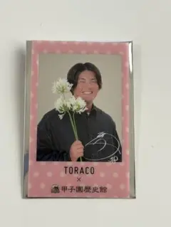 阪神タイガース 前川右京 甲子園歴史館 TORACO クリアカード