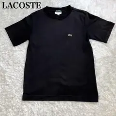 LACOSTE ラコステ Tシャツ バックプリント 背面プリント XS