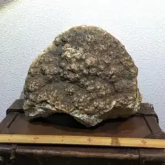 Item thumbnail for item 6df97ff6-08ee-4964-b1de-bddf9caac05e