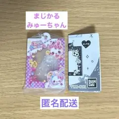 匿名配送☆平成ファンシーフレーム だれでもアクリルチャーム まじかるみゅーちゃん