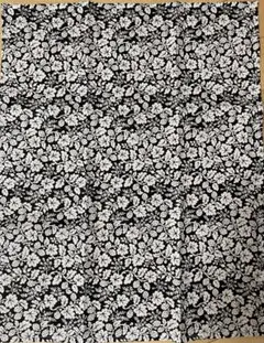 Item thumbnail for item c1153eb2-9963-483f-8068-92a01dd676ae
