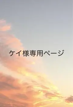 ケイ様専用
