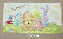 ディズニーシー ダッフィー キャラクター バスタオル