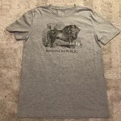 BANANA REPUBLIC ライオンプリント Tシャツ M