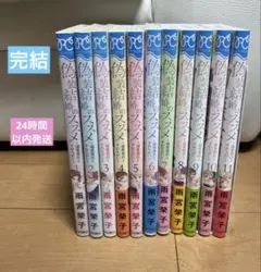 偽装結婚のススメ 1〜11巻 全巻セット 完結
