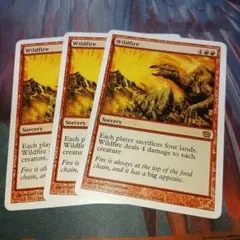 mtg 燎原の火 / Wildfire 英語版 3枚セット