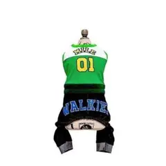 Item thumbnail for item 98f17af1-1397-4c14-a249-2495152ebca9