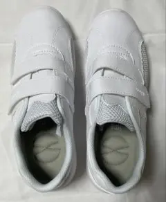 Item thumbnail for item 747426c7-9f6f-48a7-a75e-d49de4beb465