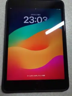 【おまけ付き】Apple iPad mini5 スペースグレー 64GB