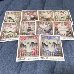 海外 作家 装飾 ステッカー 黒いたぬき