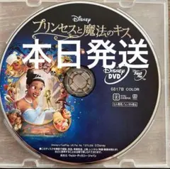 本日発送 プリンセスと魔法のキス DVDディスク 新品 未使用