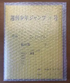 Dr.STONE 応募者全員サービス 最終話まるごとデジタル原稿プリント
