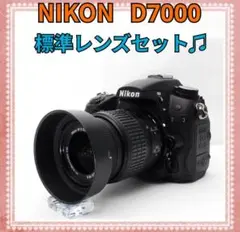 Item thumbnail for item 4bc5329c-89e5-49a6-8b4b-57b3081407f4