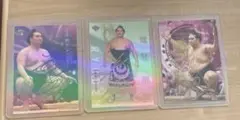 大相撲　竜電 直筆　サイン　カード 3枚セット