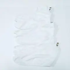 Item thumbnail for item e402c8c6-c146-43fa-a137-105b5895f319