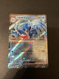 イルカマンex RR SV8a テラスタルフェスex 046/187