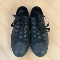 Item thumbnail for item 253677fe-4297-49ed-9c7f-d0e31f388314