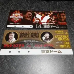 新日本プロレス 東京ドーム大会 レッスルキングダム17 入場特典チケット2種類