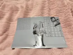 プロジェクトセカイ クリアファイル 命に嫌われている 宵崎奏×初音ミク（ニーゴ）
