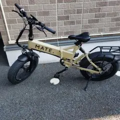 Mate bike x 250 750フロントホイール20x5.0 Mate bike x 250 750フロントホイール20x5.0 mate x フロント