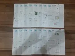 積み上げ 中学１年 理科 問題と解答　書きこみなし