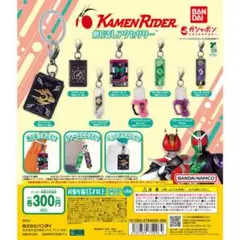 めじるしアクセサリー 仮面ライダーW