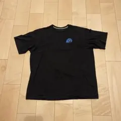 patagonia パタゴニアTシャツ L