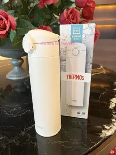 Item thumbnail for item a2fab100-46e1-42a0-a632-6180a3d7128a