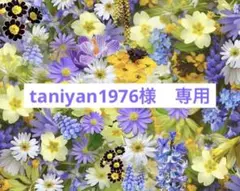 【組曲】フォーマル・卒業式 ジャケット・スカート・リボン3点セット 150