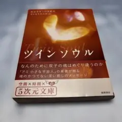 (初版)ツインソウル　なんのために双子の魂はめぐり逢うのか　エンリケ・バリオス ツインソウル: なんのために双子の魂はめぐり逢うのか (5次元