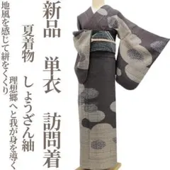 新品 正絹 単衣 夏着物“理想郷へ”仕付け糸付 しょうざん紬 訪問着 6020
