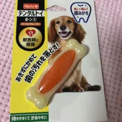 Item thumbnail for item c6364d2e-c2a7-43d4-a0f1-bff0f82d616c