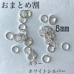 p0054 おまとめで359円に！800個 丸カン 在庫ラスト パーツ 5mm