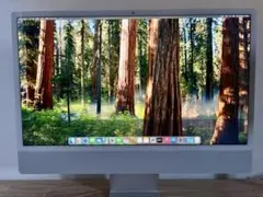ジャンク品 iMac 24インチ M1 (2021) 16GB / 1TB