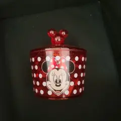 東京ディズニーリゾート ミニー コットンケース
