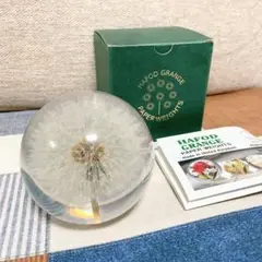 ハフォドグレンジHafodGrangeフラワーペーパーウエイトLセイヨウタンポポ