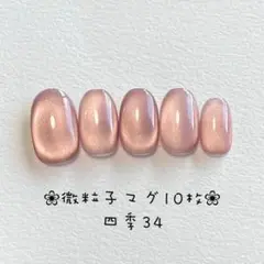 【即購入ok・チップ変更可能】マグネットネイルチップ　ニュアンス　四季34