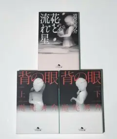 「背の眼 上」　「背の眼 下」　「花と流れ星」　道尾 秀介