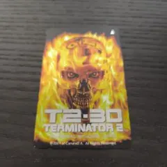 ユニバ限定カードT2:3D TERMINATOR 2 2001年