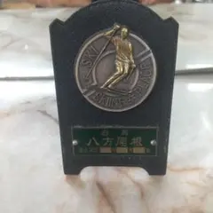 ♥️八方尾根 スキー場♥️ 記念メダル