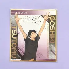 ハイキュー!! ミニ色紙コレクション