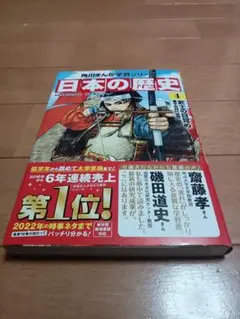 日本の歴史4 武士の目覚め