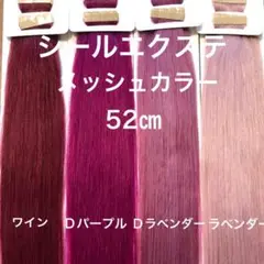 シールエクステ 52 メッシュエクステ カラーエクステ