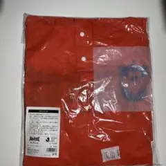Item thumbnail for item 4085d313-7387-42dd-9c2c-e948de4b05e9