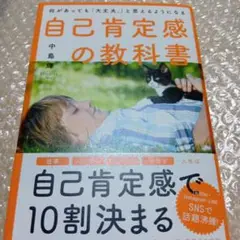 何があっても「大丈夫。」と思えるようになる自己肯定感の教科書