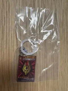 仮面ライダーめじるしアクセサリー2 アドベントカード