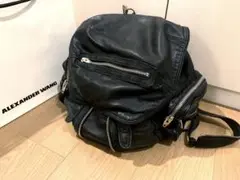 本物☆直営 アレキサンダーワン 2WAYバックパック リュック ショルダーバッグ